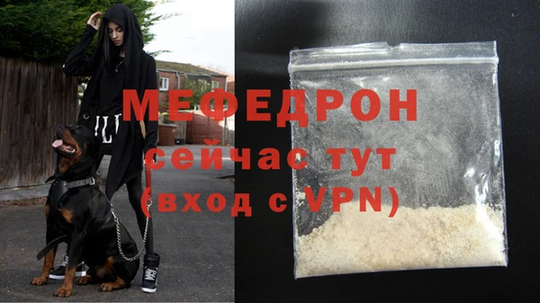 молекула духа Дубовка
