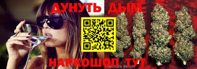 дмт Ипатово