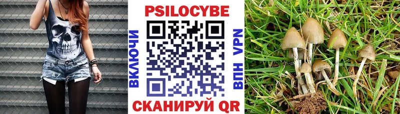 Псилоцибиновые грибы мицелий  Карталы 