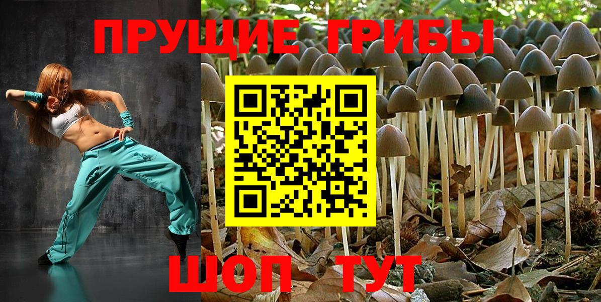 Галлюциногенные грибы Magic Shrooms  Карталы  закладка  Галлюциногенные грибы Cubensis 