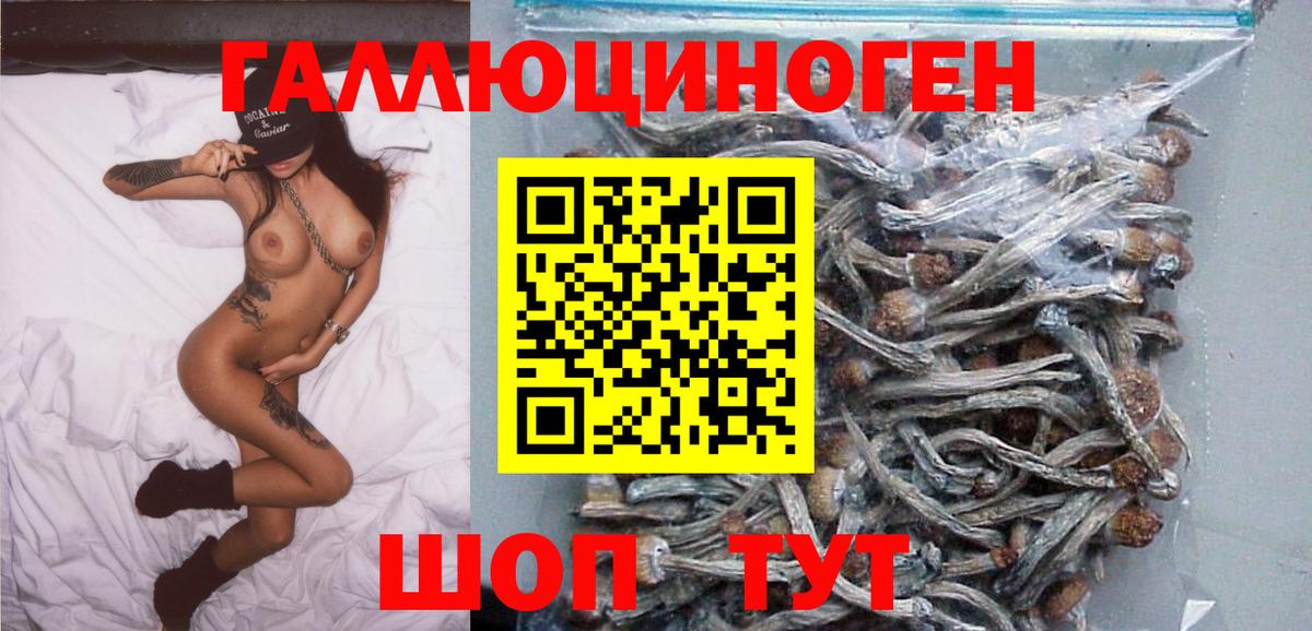 Псилоцибиновые грибы Magic Shrooms Карталы