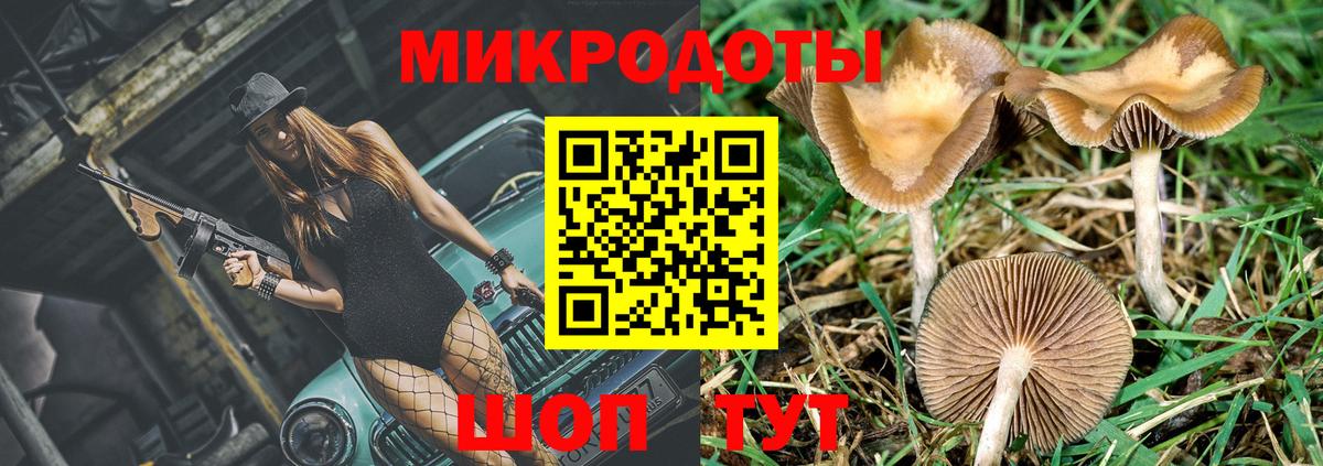 Карталы  Псилоцибиновые грибы Psilocybe  Вход с VPN 