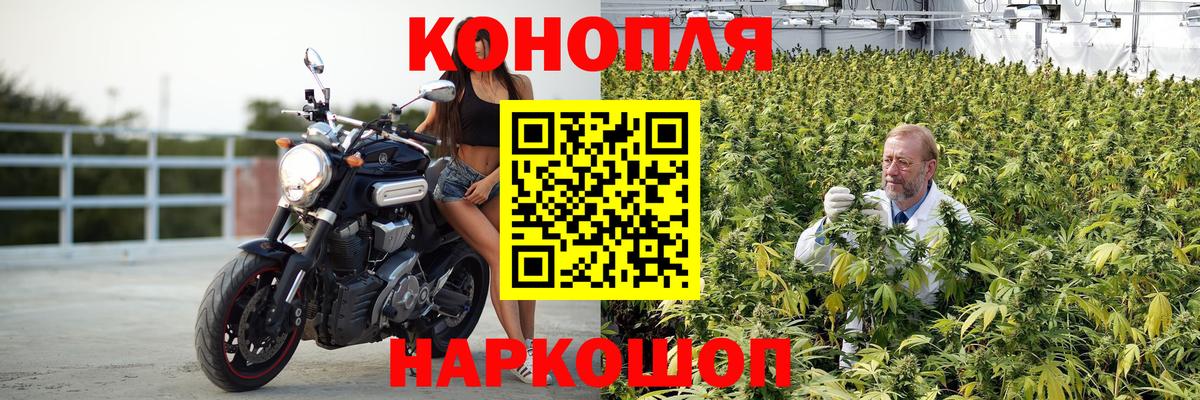 Каннабис конопля Карталы